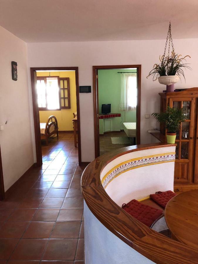 Palmeras Ινχένιο Εξωτερικό φωτογραφία
